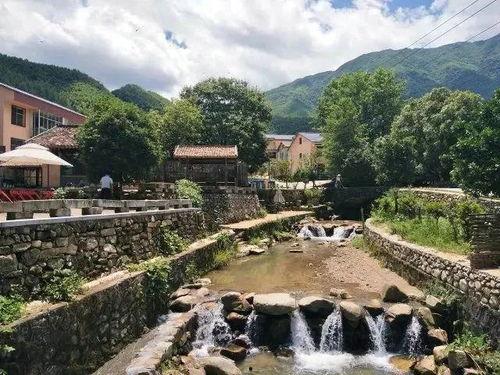 温汤镇水口村新闻头条,乡村振兴新篇章，水口村焕发新活力